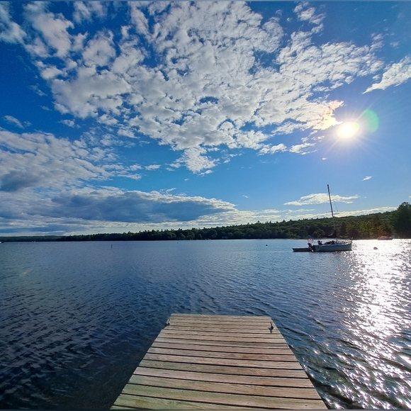 Meet your Posher, Bella - Picture 2 of 2